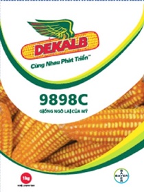 Dekalb DK9898C